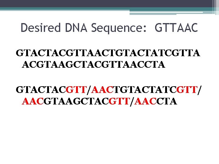 Desired DNA Sequence: GTTAAC GTACTACGTTAACTGTACTATCGTTA ACGTAAGCTACGTTAACCTA GTACTACGTT/AACTGTACTATCGTT/ AACGTAAGCTACGTT/AACCTA 