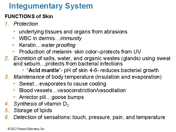 Integumentary System FUNCTIONS of Skin 1. Protection 2. 3. 4. 5. 6. • underlying