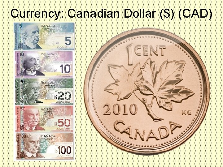 Currency: Canadian Dollar ($) (CAD) 