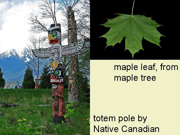 maple leaf, from maple tree totem pole by Native Canadian 