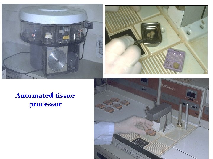 1 Histology and Histotechnique BY Dr TAREK ATIA