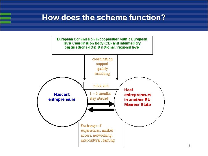 How does the scheme function? European Commission in cooperation with a European level Coordination