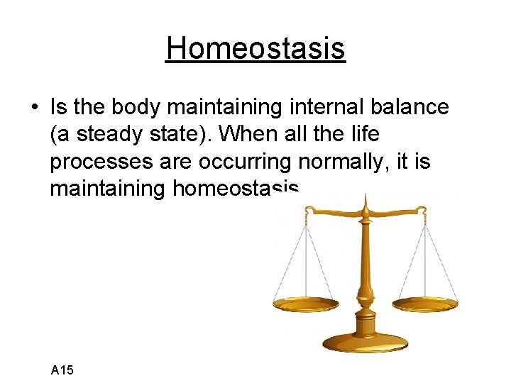 Homeostasis • Is the body maintaining internal balance (a steady state). When all the