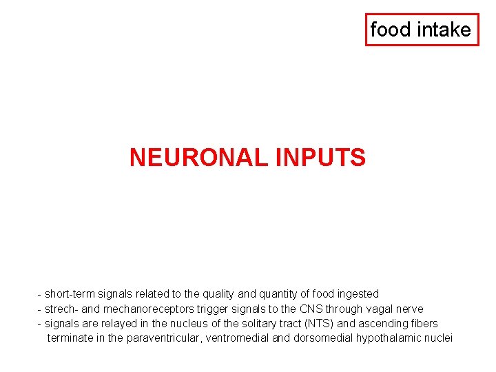 food intake NEURONAL INPUTS - short-term signals related to the quality and quantity of