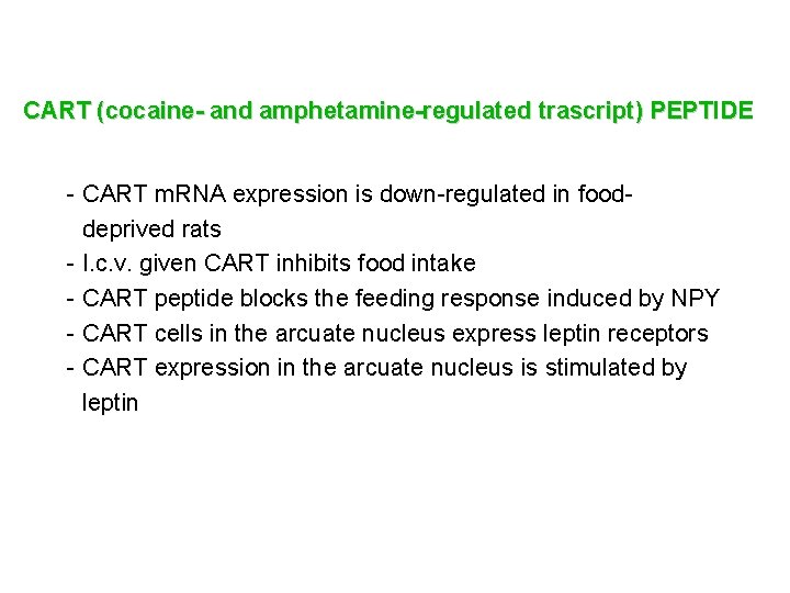 CART (cocaine- and amphetamine-regulated trascript) PEPTIDE - CART m. RNA expression is down-regulated in