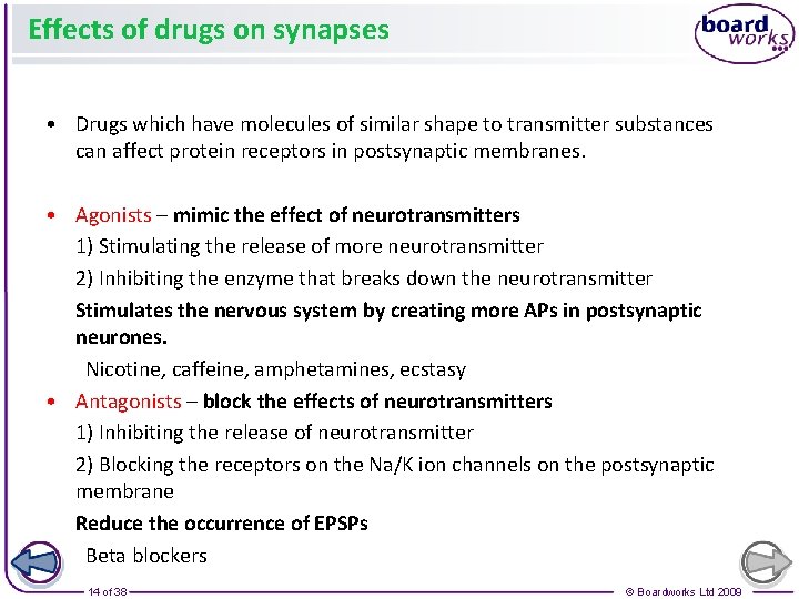 Effects of drugs on synapses • Drugs which have molecules of similar shape to