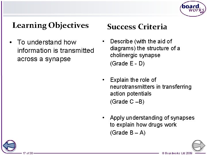 Learning Objectives • To understand how information is transmitted across a synapse Success Criteria