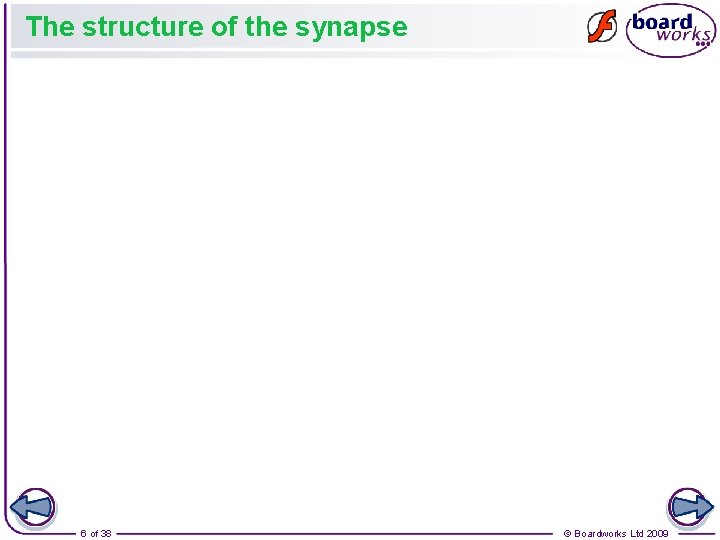 The structure of the synapse 6 of 38 © Boardworks Ltd 2009 