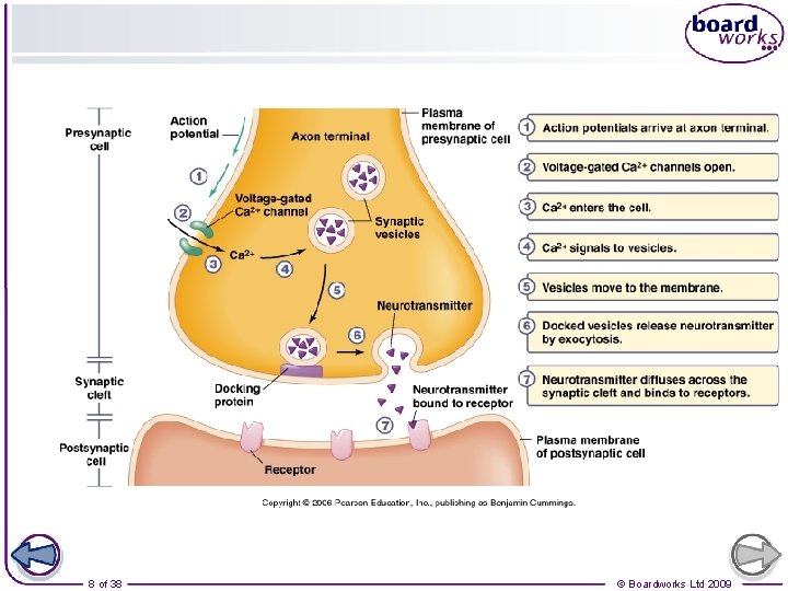 8 of 38 © Boardworks Ltd 2009 8 of 38 © Boardworks Ltd 2009