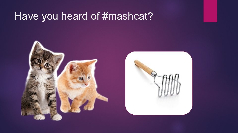 Have you heard of #mashcat? 