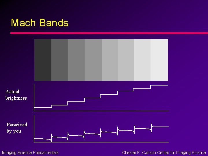 Mach Bands Actual brightness Perceived by you Imaging Science Fundamentals Chester F. Carlson Center Mach Bands Actual brightness Perceived by you Imaging Science Fundamentals Chester F. Carlson Center