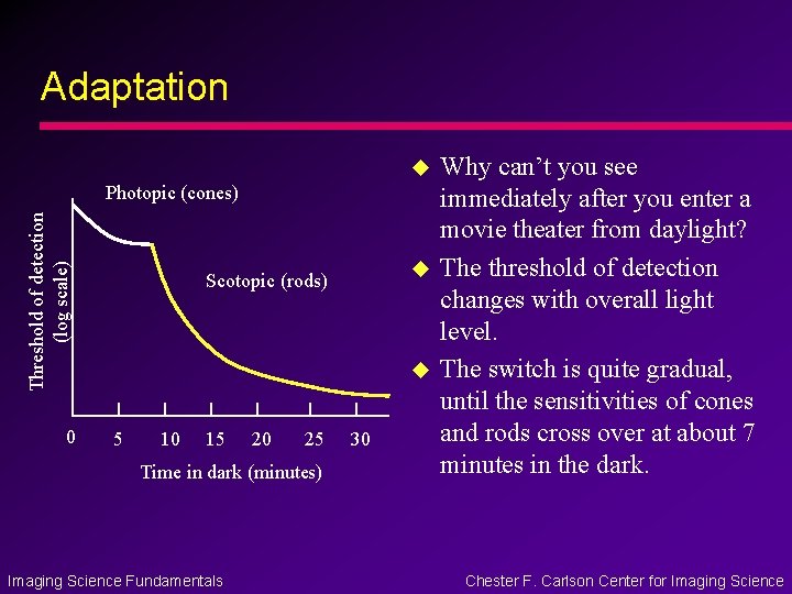 Adaptation u Threshold of detection (log scale) Photopic (cones) 0 u Scotopic (rods) u Adaptation u Threshold of detection (log scale) Photopic (cones) 0 u Scotopic (rods) u