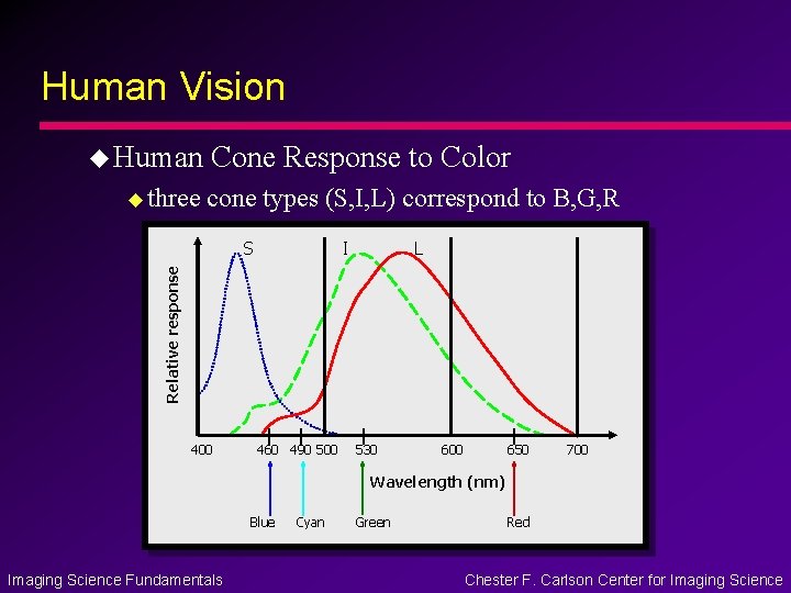Human Vision u Human u three Cone Response to Color cone types (S, I, Human Vision u Human u three Cone Response to Color cone types (S, I,