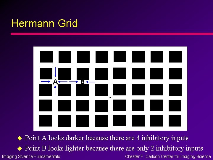 Hermann Grid A u u B Point A looks darker because there are 4 Hermann Grid A u u B Point A looks darker because there are 4