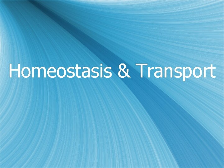 Homeostasis & Transport 