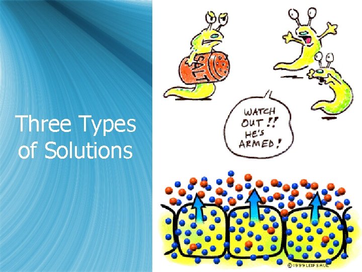 Three Types of Solutions 