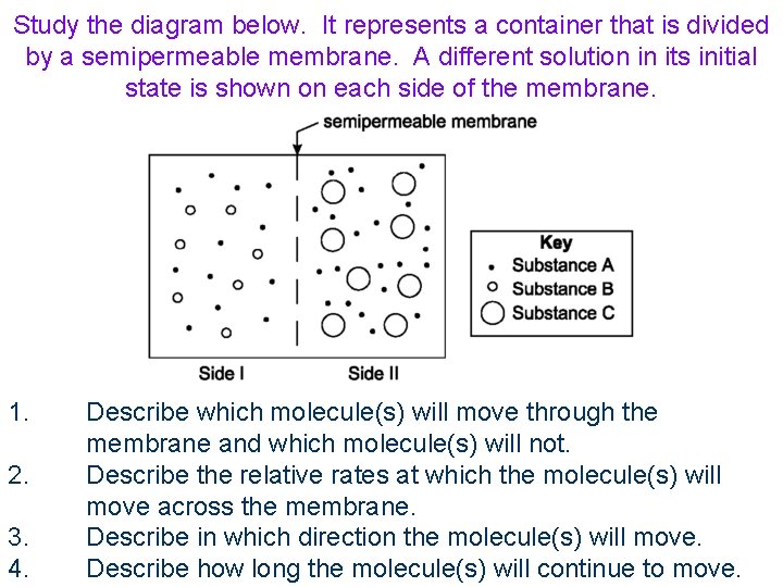 Study the diagram below. It represents a container that is divided by a semipermeable