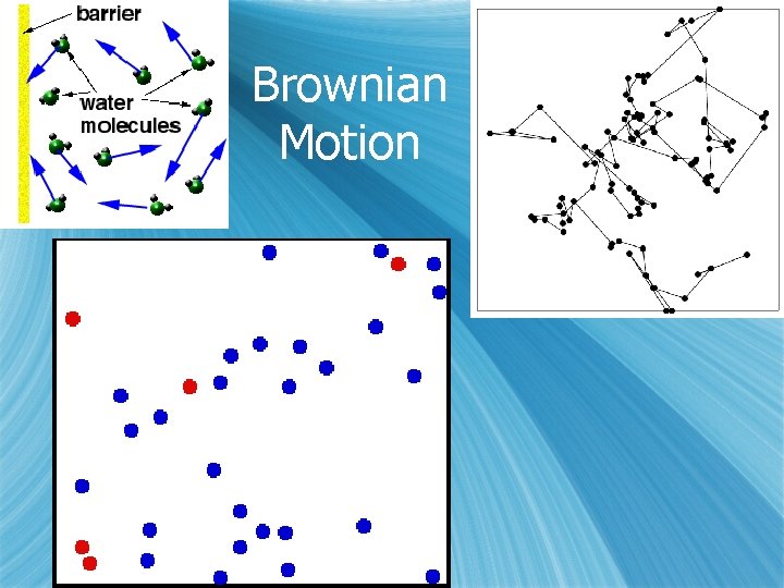 Brownian Motion 