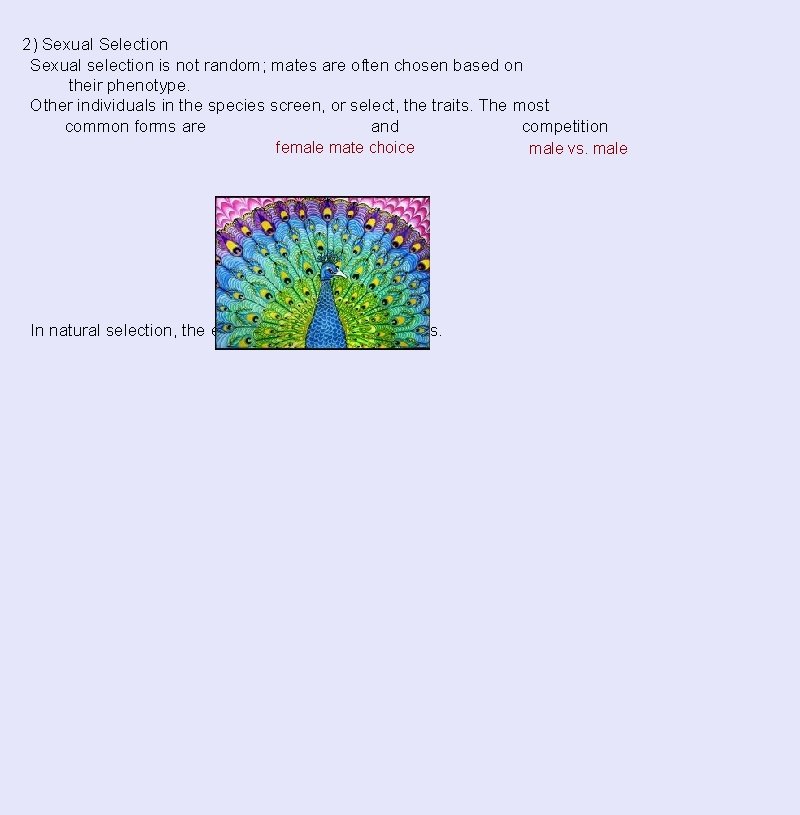2) Sexual Selection Sexual selection is not random; mates are often chosen based on