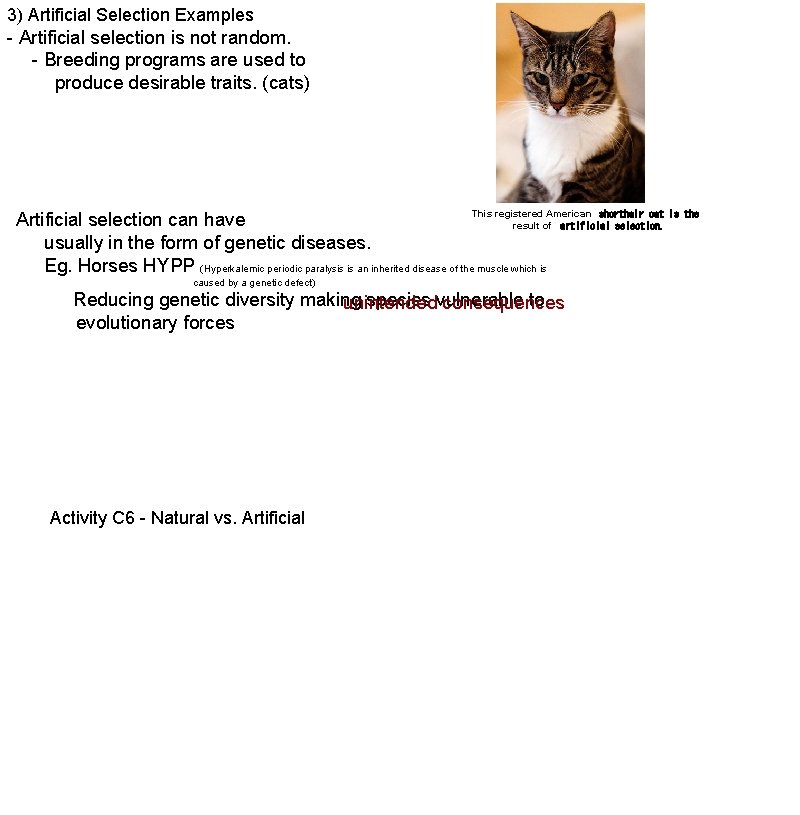 3) Artificial Selection Examples - Artificial selection is not random. - Breeding programs are