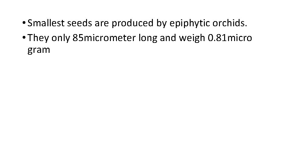  • Smallest seeds are produced by epiphytic orchids. • They only 85 micrometer