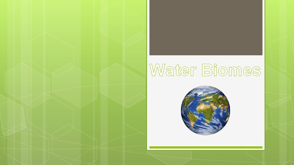 Water Biomes 