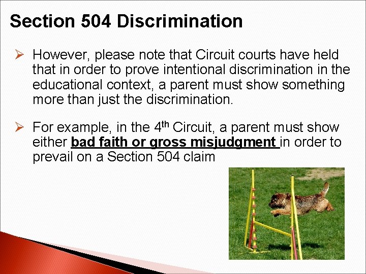 Section 504 Discrimination Ø However, please note that Circuit courts have held that in