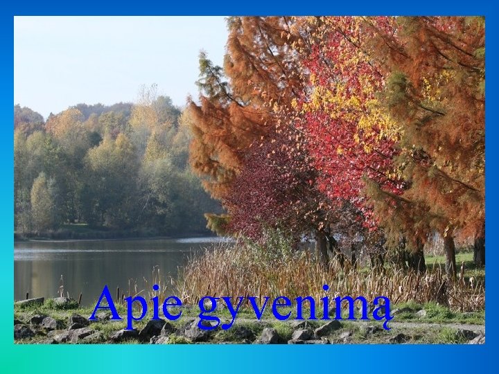 Apie gyvenimą 