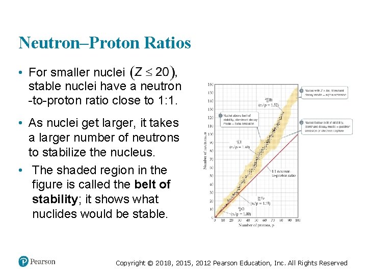 Neutron–Proton Ratios • For smaller nuclei stable nuclei have a neutron -to-proton ratio close