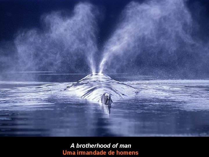 A brotherhood of man Uma irmandade de homens 