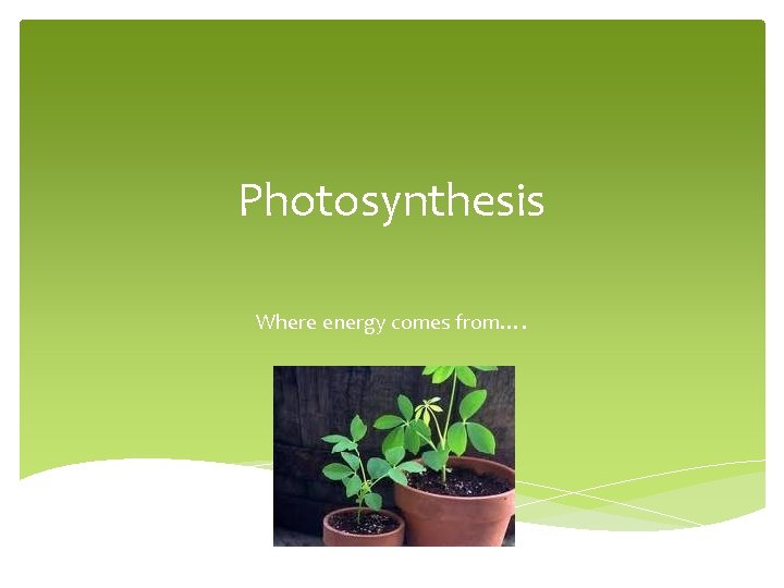 Photosynthesis Where energy comes from…. 