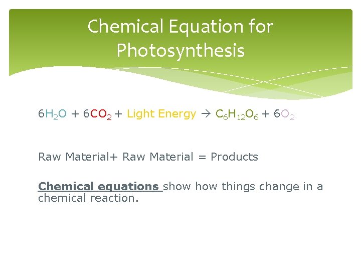 Chemical Equation for Photosynthesis 6 H 2 O + 6 CO 2 + Light