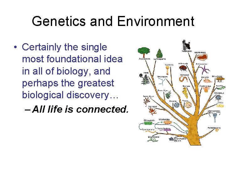 Genetics and Environment • Certainly the single most foundational idea in all of biology,