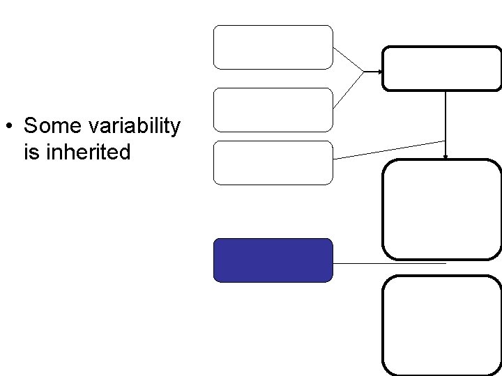  • Some variability is inherited 