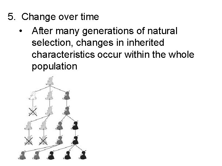 5. Change over time • After many generations of natural selection, changes in inherited