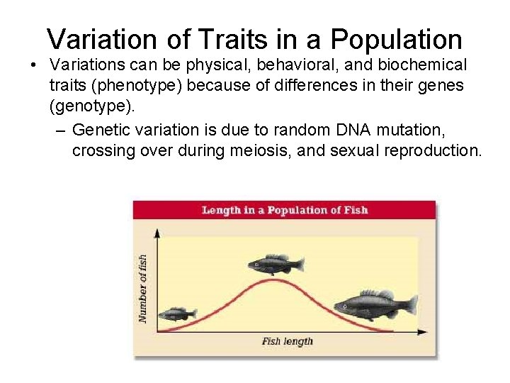 Variation of Traits in a Population • Variations can be physical, behavioral, and biochemical
