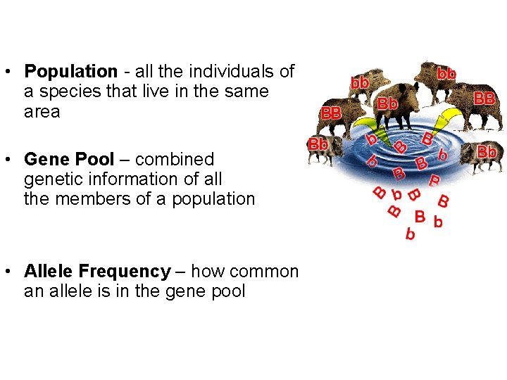  • Population - all the individuals of a species that live in the