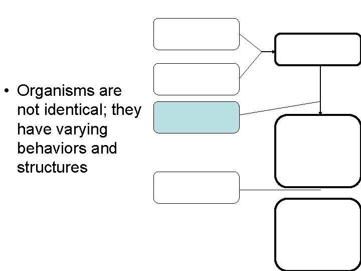  • Organisms are not identical; they have varying behaviors and structures 