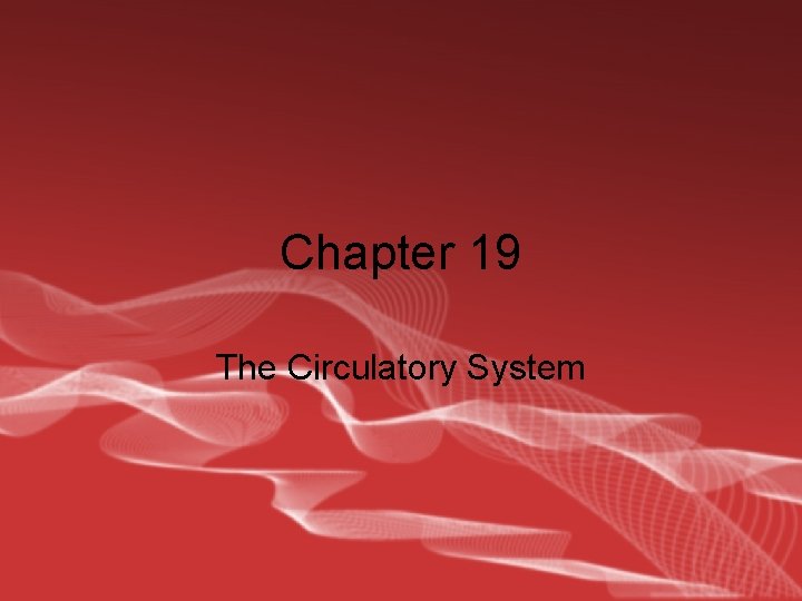 Chapter 19 The Circulatory System 