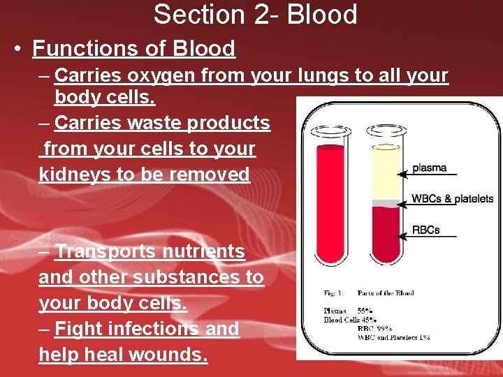 Section 2 - Blood • Functions of Blood – Carries oxygen from your lungs
