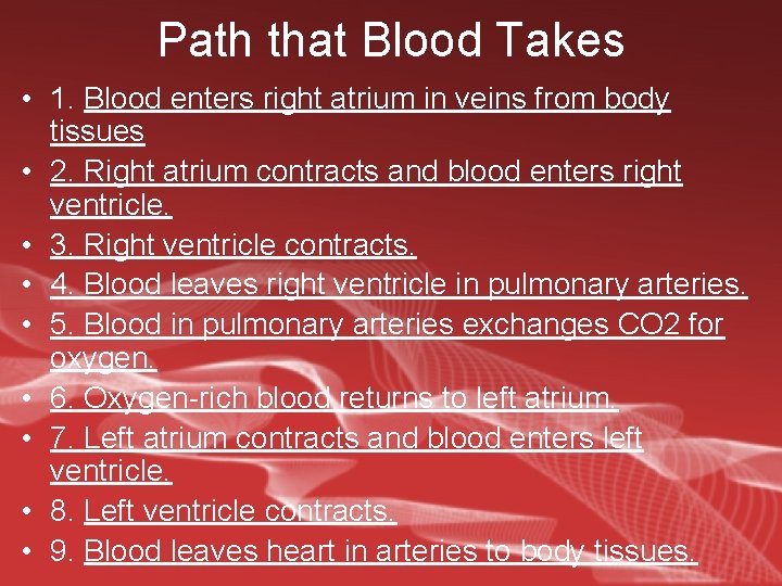 Path that Blood Takes • 1. Blood enters right atrium in veins from body