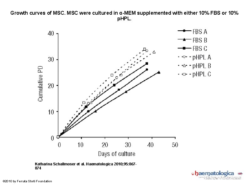 Growth curves of MSC were cultured in α-MEM supplemented with either 10% FBS or