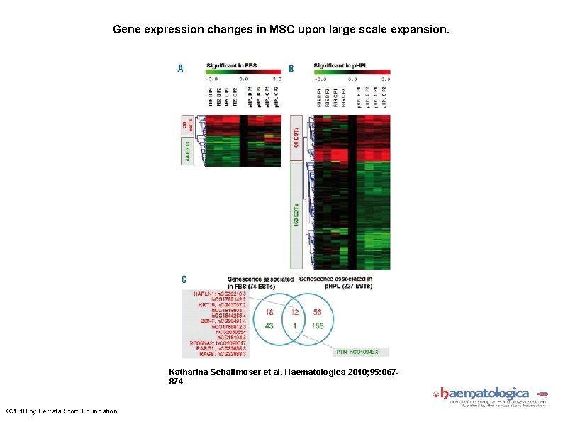 Gene expression changes in MSC upon large scale expansion. Katharina Schallmoser et al. Haematologica