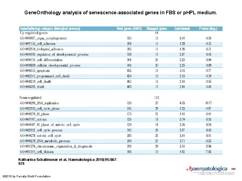 Gene. Onthology analysis of senescence-associated genes in FBS or p. HPL medium. Katharina Schallmoser