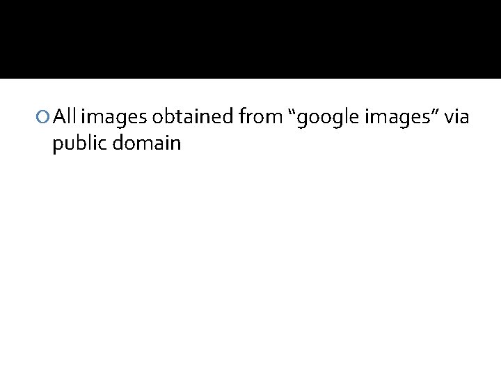  All images obtained from “google images” via public domain 