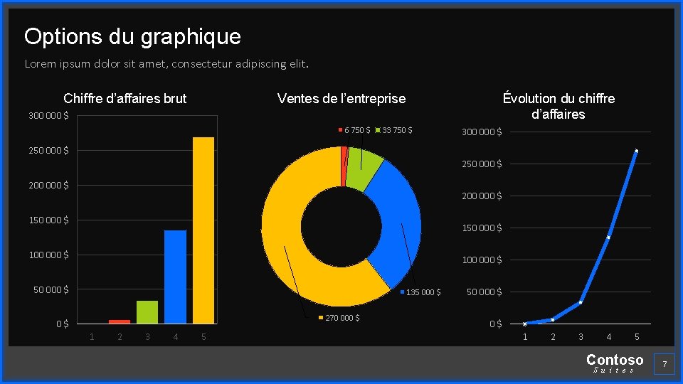 Options du graphique Lorem ipsum dolor sit amet, consectetur adipiscing elit. Chiffre d’affaires brut