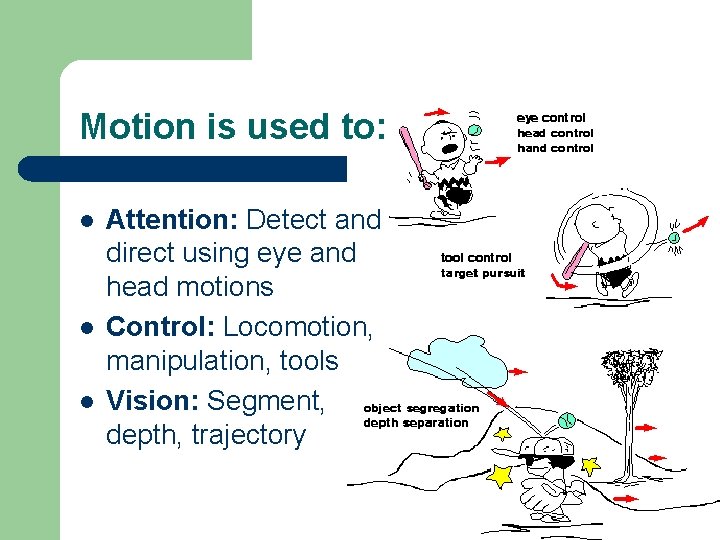 Motion is used to: l l l Attention: Detect and direct using eye and