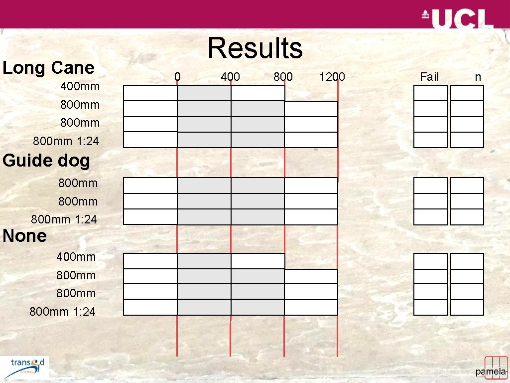 Long Cane 400 mm 800 mm 1: 24 Guide dog 800 mm 1: 24
