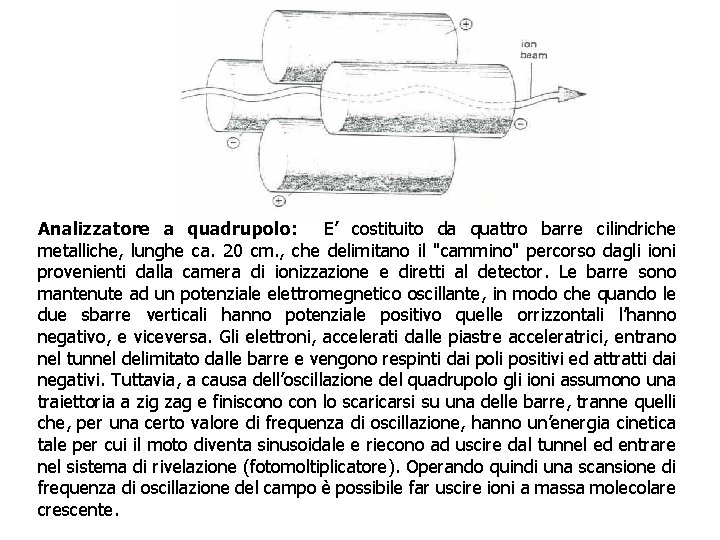 Analizzatore a quadrupolo: E’ costituito da quattro barre cilindriche metalliche, lunghe ca. 20 cm.