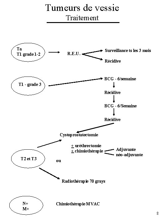 Tumeurs de vessie Traitement Ta T 1 grade 1 -2 R. E. U .